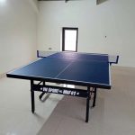 Bàn bóng bàn Vinasport MDF01